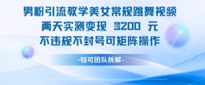 男粉引流教学美女常规跳舞视频两天实测变现1k+,不违规不封号可矩阵操作-学习资源社