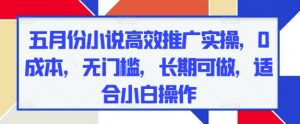 五月份小说高效推广实操,0成本,无门槛,长期可做,适合小白操作-学习资源社