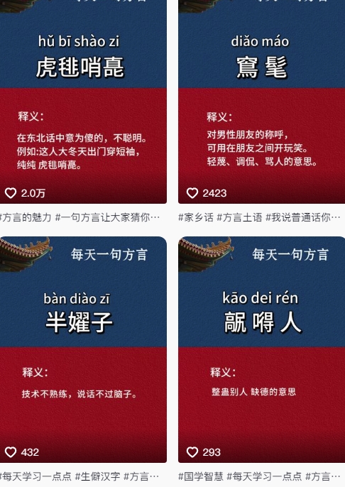抖音最新涨粉玩法，图文方言暴力涨粉实操，126作品涨粉11W-学习资源社