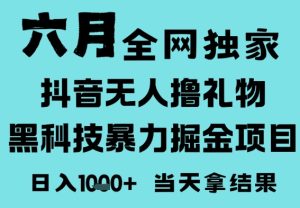 25年6月高爆抖音无人直播最新撸音浪掘金项目,门槛低小白可做,无脑日入1k,可矩阵放大【揭秘】-学习资源社