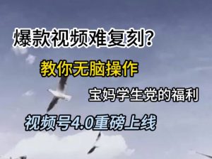 视频号4.0重磅上线,爆款视频难复刻?教你无脑操作宝妈学生党的福利【揭秘】-学习资源社