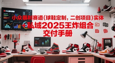 小众暴利赛道(球鞋定制，二创项目)实体+私域2025王炸组合  交付手册-学习资源社