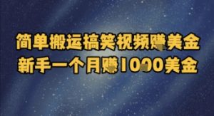 简单搬运搞笑视频挣美金,新手一个月入1k美金-学习资源社