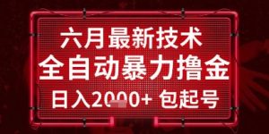 六月最新技术全自动暴力撸金,稳定日入2k+包起号,长期稳定【揭秘】-学习资源社