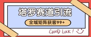 小红书某音塔罗赛道引流获客 自热矩阵日引200+【揭秘】-学习资源社