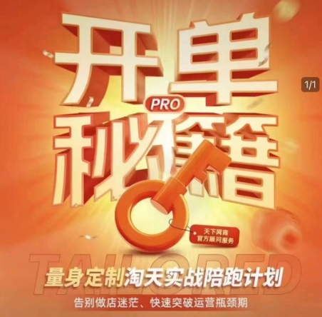 淘宝开单秘籍PRO，量身定制淘天实战陪跑计划，告别做店迷茫、快速突破运营瓶颈期（更新6月）-学习资源社