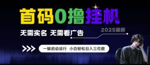 首码0撸挂G项目,无需实名无需看广告 一键启动运行,小白轻松日入三位数【揭秘】-学习资源社