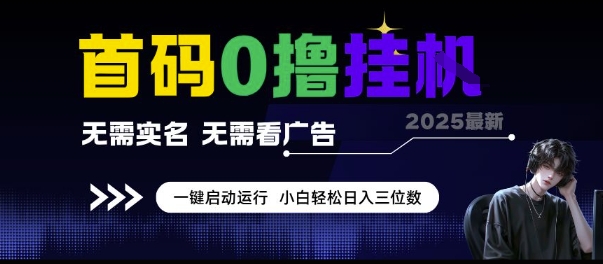 首码0撸挂G项目，无需实名无需看广告 一键启动运行，小白轻松日入三位数【揭秘】-学习资源社