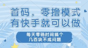 首码零撸项目,有快手就可以做,每天业务时间搞个几张不是问题【揭秘】-学习资源社
