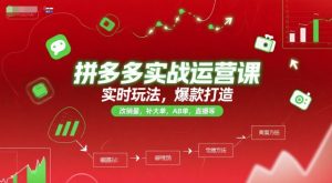 拼多多实战运营课,实时玩法,爆款打造,改销量,补大单,AB单,直播等(更新2025月)-学习资源社