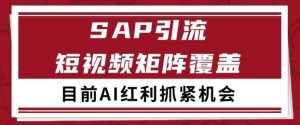 小红书某音sap赛道引流获客 自热矩阵日引200+【揭秘】-学习资源社