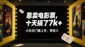 靠卖电影票,十天搞了7k+,小白无门槛上手,零投入【揭秘】-学习资源社