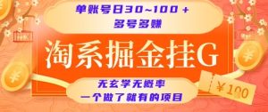 淘系掘金挂G项目,单账号日收益30~100+,多号多得,一个做了就有的项目【揭秘】-学习资源社