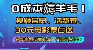 0成本薅羊毛!视频会员、话费卷、30元电影票白送,分享我如何靠转卖一天变现5张+【揭秘】-学习资源社