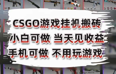 CSGO游戏挂G搬砖，小白纯手机即可操作，不用电脑打游戏，日入3张+，副业网创项目【揭秘】-学习资源社