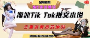 海外tiktok小说推文暴力项目,高停留率,高转化率,上手后一天搞顿饭钱不是问题-学习资源社