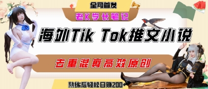 海外tiktok小说推文暴力项目，高停留率，高转化率，上手后一天搞顿饭钱不是问题-学习资源社