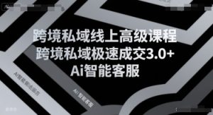 跨境私域线上高级课程,跨境私域极速成交3.0+Ai智能客服-学习资源社