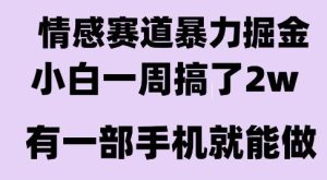 情感暴力掘金项目,新人操作一周挣了2W,长期稳定小白可做【揭秘】-学习资源社