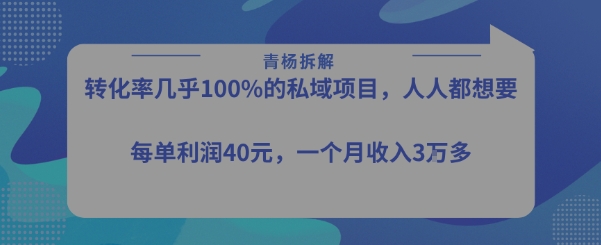 转化率最高的私域项目，每单利润40-50米，月入过1w-学习资源社