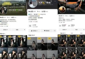 抖音图文文案赛道新玩法,快速养号起号,广告收益分成+橱窗带货+教学收徒等-学习资源社