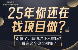 25年,你还在疯狂的找项目吗?别傻了,看完这个你都懂了【揭秘】-学习资源社
