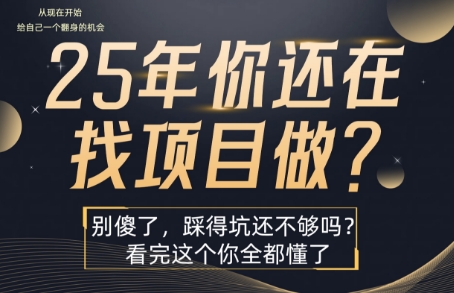 25年，你还在疯狂的找项目吗？别傻了，看完这个你都懂了【揭秘】-学习资源社
