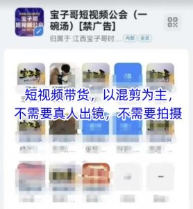 宝子哥头部团队短视频带货,以混剪为主,不需要真人出镜,不需要拍摄【更新8月】-学习资源社