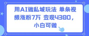 用AI做私域玩法,单条视频涨粉7W变现4.3k,小白可做-学习资源社