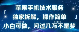 苹果手机技术服务,独家拆解,操作简单,小白可做,月过1W不是梦-学习资源社
