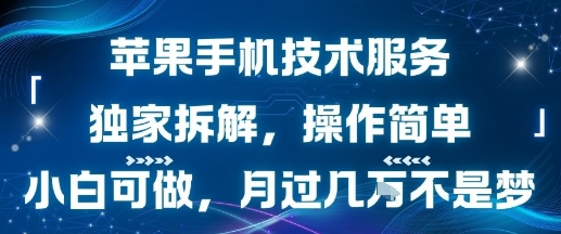 苹果手机技术服务，独家拆解，操作简单，小白可做，月过1W不是梦-学习资源社