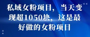 私域女粉项目,当天变现超1k,这是最好做的女粉项目,可放大操作-学习资源社