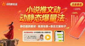 8月小说推文全新玩法,动静态图片+搭配小说文案爆量玩法-学习资源社