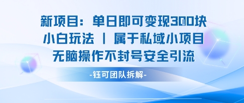 新项目单日即可变现3张的小白玩法无脑操作不封号安全引流-学习资源社