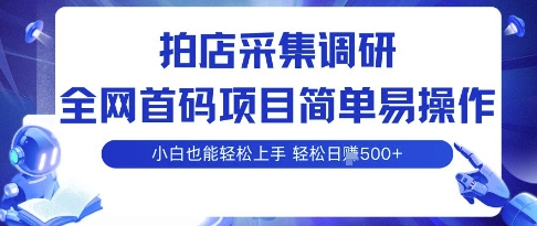 拍店采集调研，全网首码项目，简单易操作， 小白也能轻松上手，多账号操作，轻松日入5张【揭秘】-学习资源社