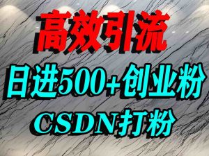 怎么打创业粉?CSDN又一个你不知道的打粉引流神秘平台,单人日引500+精准流量-学习资源社