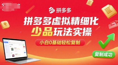 拼多多虚拟精细化少品玩法实操，小白0基础轻松复制-学习资源社