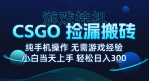 8月最新游戏搬砖,CSGO纯挂G,不需要玩游戏,实现真挂G,月入1W+【揭秘】-学习资源社