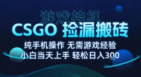 8月最新游戏搬砖，CSGO纯挂G，不需要玩游戏，实现真挂G，月入1W+【揭秘】-学习资源社