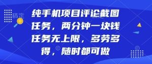 纯手机项目评论截图任务,两分钟一块钱多劳多得,随时随地都能做【揭秘】-学习资源社