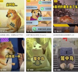 狗头幸运星UE5动画全套课程,从入门到实操全掌握-学习资源社