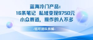 蓝海项目:16条笔记私域变现9750米小众赛道操作的人不多-学习资源社
