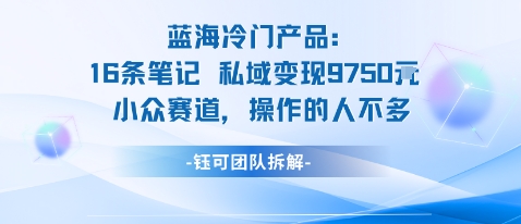 蓝海项目：16条笔记私域变现9750米小众赛道操作的人不多-学习资源社