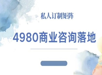4980商业咨询师落地课程-ip运营高客单教程-学习资源社