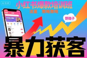 小红书爆款培训班，小红书获客野路子流量打法，暴力持续获客-学习资源社