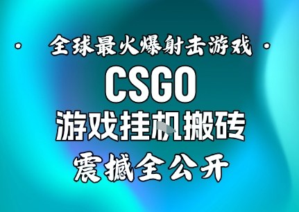 【年底大揭秘】基于全球最火爆的射击CSGO游戏挂G搬砖，日入5张+，震撼公开-学习资源社