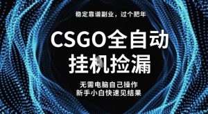 【稳定副业】全球最热门游戏CSGO全自动捡漏，最新玩法，新手小白日入5张+【揭秘】-学习资源社