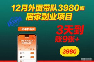 12月外面带队3980的居家副业项目,一部手机实测3天到账9张+,首发教程【揭秘】-学习资源社
