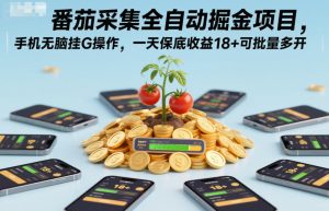 番茄采集全自动掘金项目，手机无脑挂G操作，一天保底收益18+可批量多开【揭秘】-学习资源社